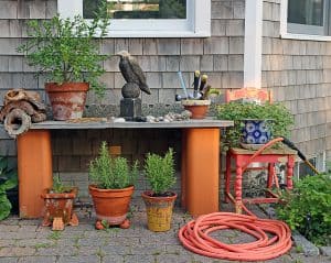 Six must-have tools for the yard and garden.