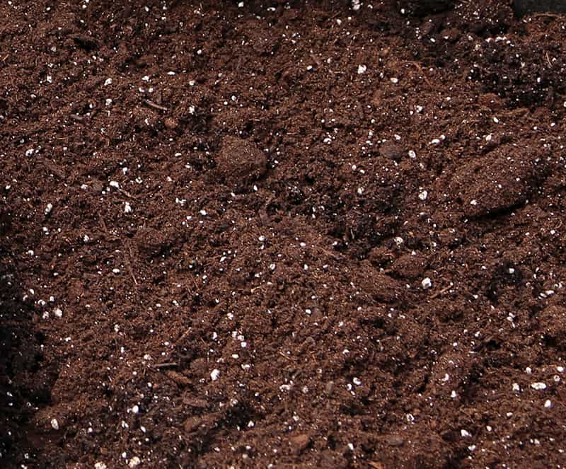 potting soil has white flecks that are perlite