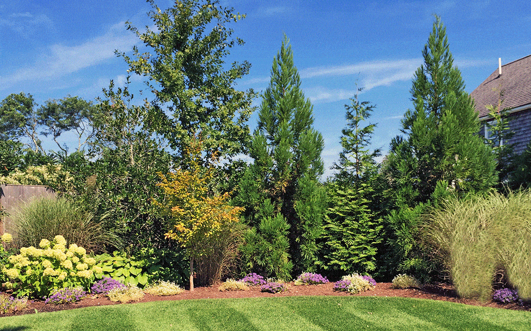 A mixed planting for privacy makes a great deal of sense. You have a variety of colors and textures of foliage and if an insect or disease attacks any one plant you don't loose your whole privacy screen.